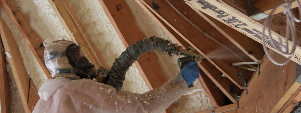  Minnesota Attic Insulation Spray Foam